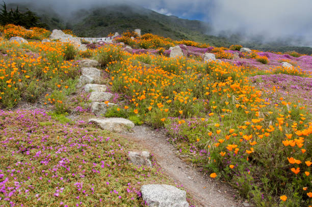istock Stairway To Heaven 839387798