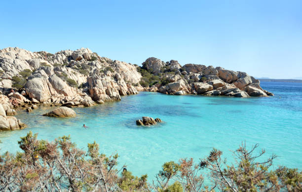 istock Maddalena archipelago, Caprera island, Cala Coticcio beach. Earthly paradise 839388368