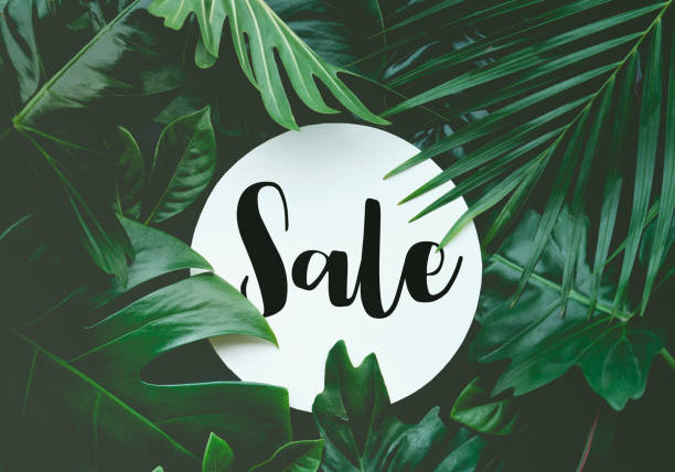 istock Sale text with real leaves tropica jungle background. 839392494