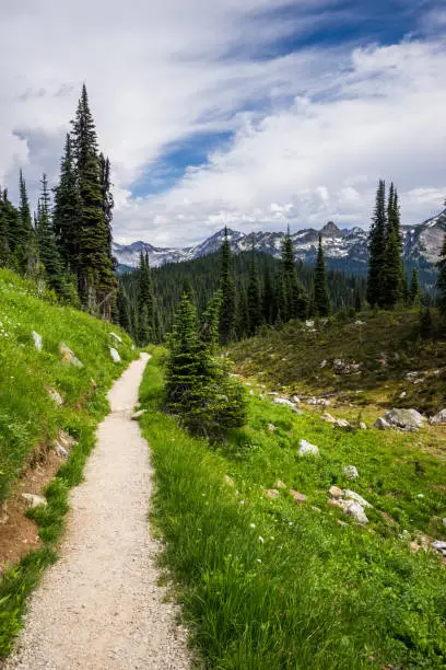 Hiking trail on Mount Revelstoke National Park, British Columbia, Canada