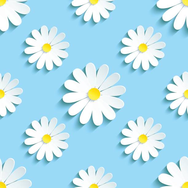 Spring blue background seamless pattern with chamomile Beautiful spring background seamless pattern blue with white 3d flower chamomile. Floral trendy creative wallpaper. Vector illustration marguerite daisy stock illustrations
