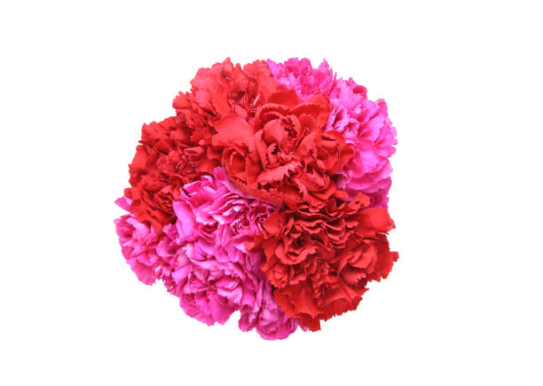 istock Bouquet of carnation 839433204