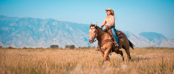 jovem mulher andar de cavalo - horseback riding cowboy riding recreational pursuit - fotografias e filmes do acervo
