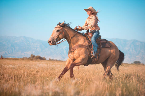 istock Running horse in a beautiful nature 839448812