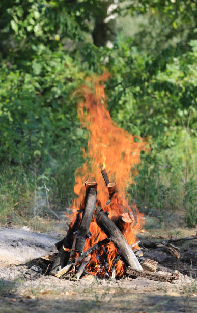 istock burning woods of camp fire 839463888
