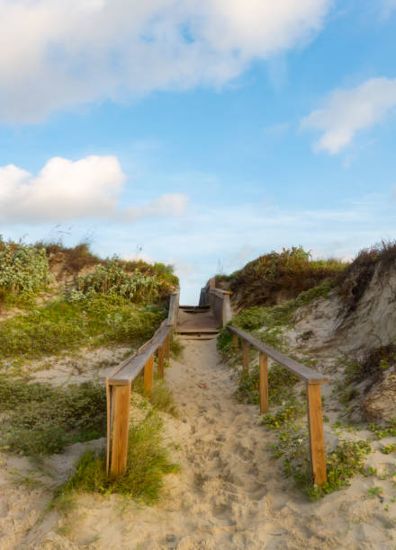 istock Sandy Boardwalk Trail to the Beach 839464392