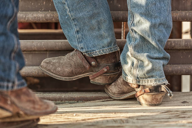 istock preparing to ride in the rodeo 839495138