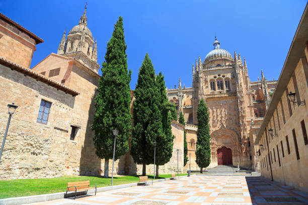 istock Salamanca New and Old Cathedrals 839496680