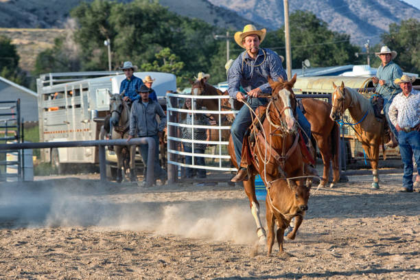 istock Calf Roper in a Western Rodeo 839505944