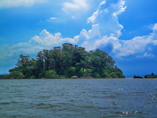 istock Beautiful landscape and details of Babitonga 839506780