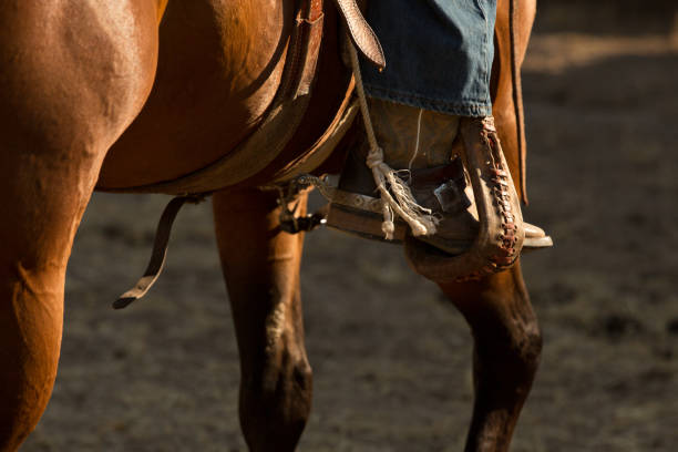 istock Cowboys Boot and Stirrup In Early Morning Sunlight 839520824