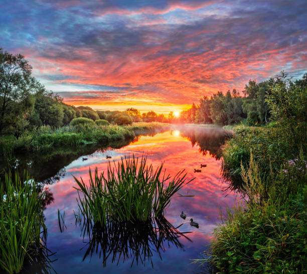 istock Luxurious Dawn of Summer 839526288