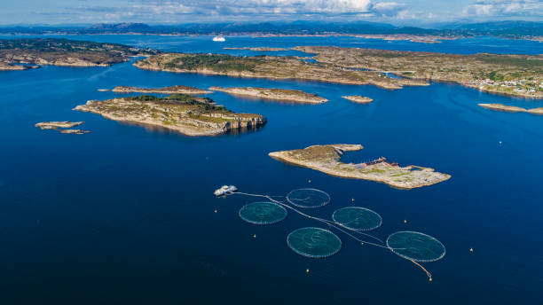 istock Salmon fish farm. Bergen, Norway. 839540960