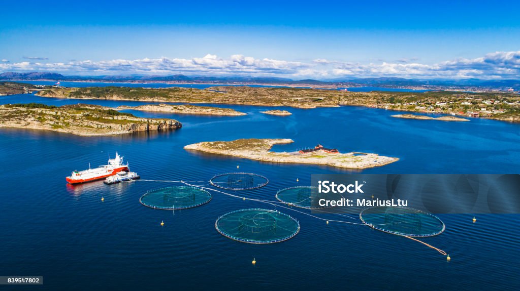 Salmon fish farm. Bergen, Norway. Aquaculture Stock Photo