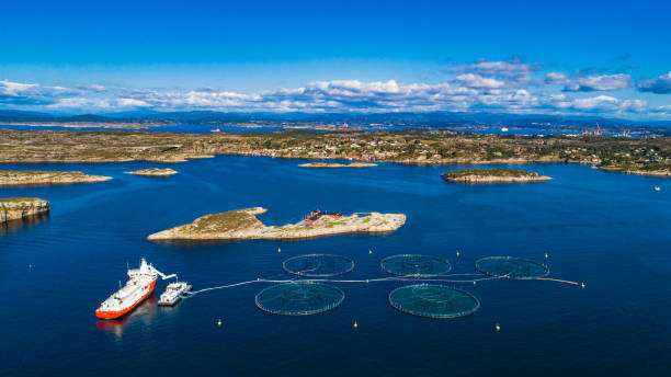 istock Salmon fish farm. Bergen, Norway. 839552694