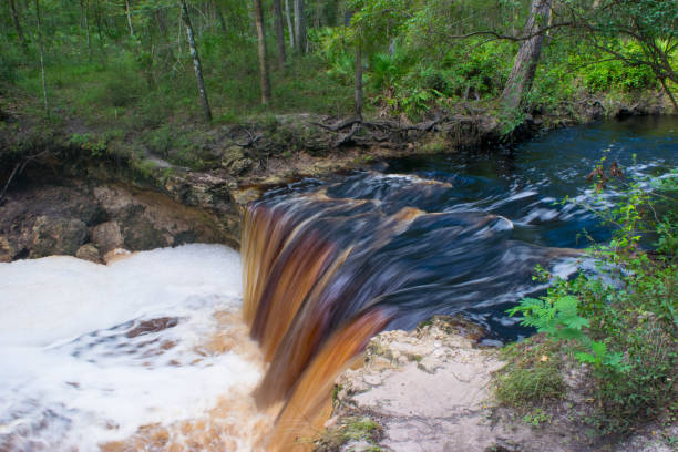 Tannic Colored Waterfall in North Florida
