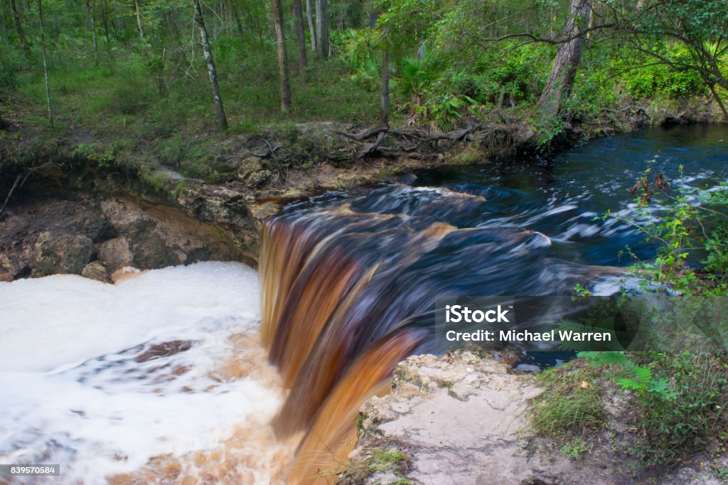 Tannic Colored Waterfall in North Florida A brown, tea-colored waterfall in Florida at Falling Creek Falls. Florida - US State Stock Photo