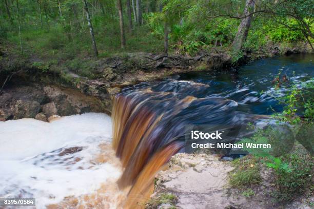 Tannic Colored Waterfall In North Florida Stock Photo - Download Image Now - Florida - US State, Falling, State Park
