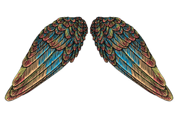 istock Sacred colourful bird wings of different shape in open position isolated on white background. Colorful angel wings hand drawing sketch. Hipster tattoo or vintage body art concept. Vector. 839578388