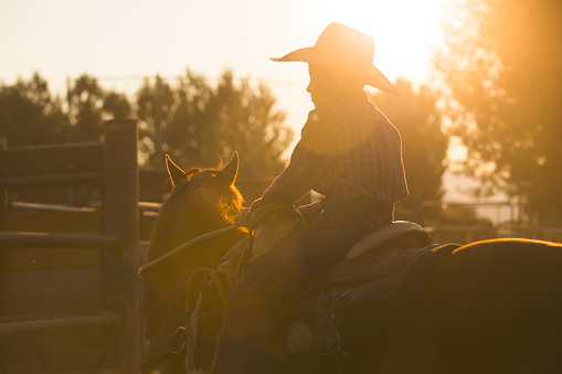 A boy on a horse in the early morning light.