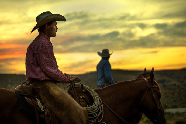 kowboj na koniu o zachodzie słońca - rein saddle cowboy hat hat zdjęcia i obrazy z banku zdjęć