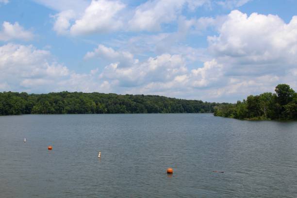 istock Sunny Day at the Lake 839606120