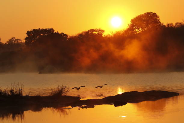 일출 일몰 아프리카 오렌지 하늘 강 물 안개 반사 와일드 - kruger national park sunrise south africa africa 뉴스 사진 이미지