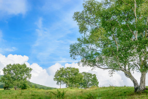 istock Scenery of the plateau. 839673136