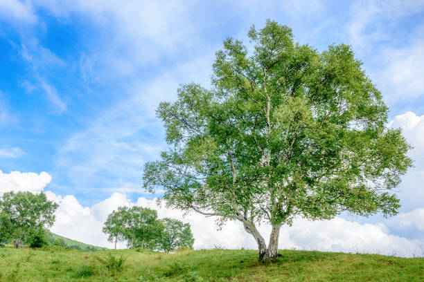 istock Scenery of the plateau. 839684344