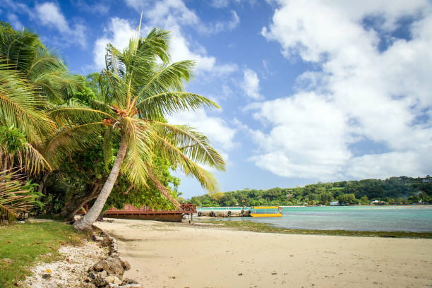 istock Coconut Palm Erakor Lagoon Vanuatu 839752626