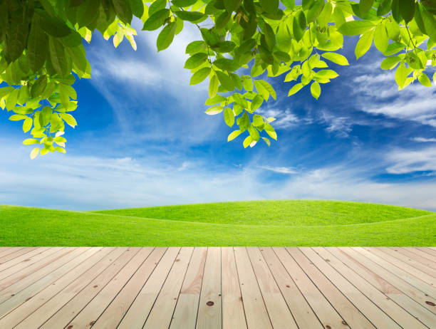 istock Empty wood table top with blue sky For product display 839764766