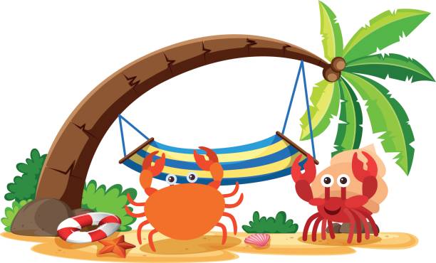 Crab and hermit crab on the beach Crab and hermit crab on the beach illustration hermit crab stock illustrations