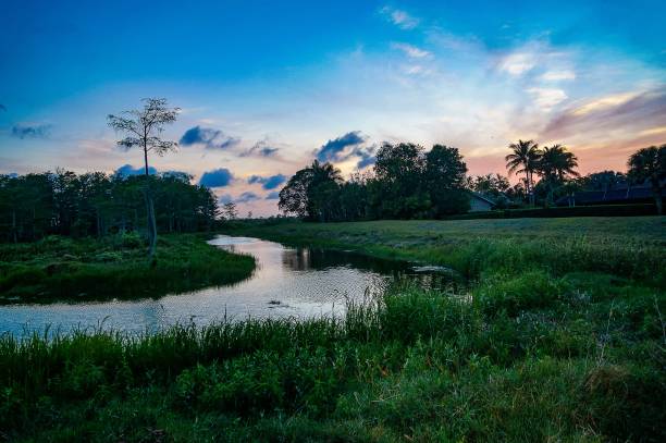 reflexiones de silueta al atardecer en el pantano del ciprés - cypress swamp fotografías e imágenes de stock