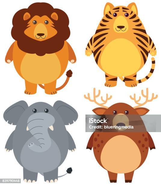 Four Different Wild Animals With Happy Face Stock Illustration - Download Image Now - Animal, Animal Wildlife, Art