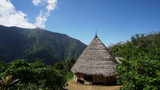 istock Wae Rebo traditional house 839790516