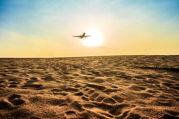 istock Airplane flying above tropical beach on blue sky with sunligh 839790624