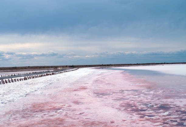 istock A big lifeless salt lake 839791382