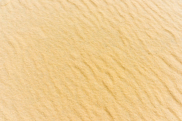 Top view of a sand sea bottom for background and texture