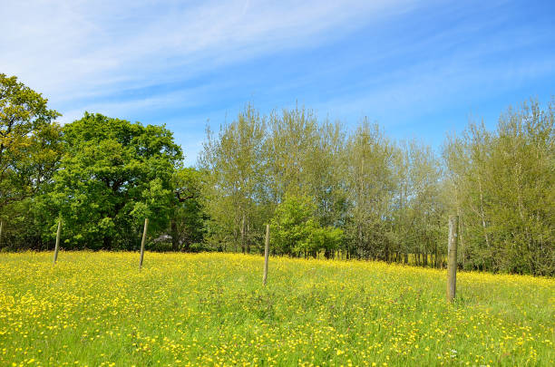 istock Classic british landscape at the Peak district near Manchester 839806196