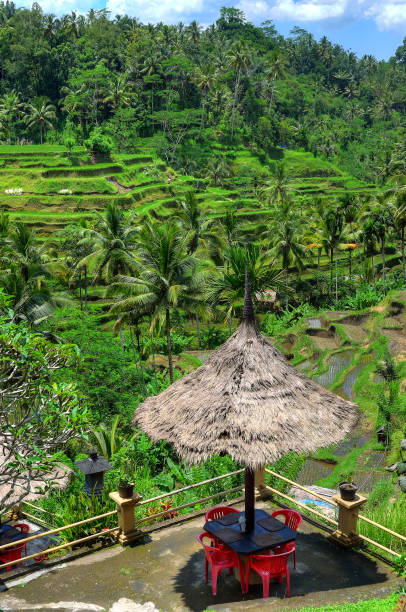 istock Ubud palace, Bali, Indonesia 839806400