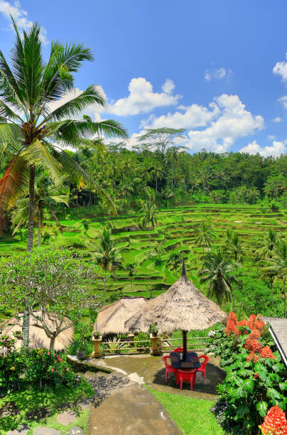 istock Ubud palace, Bali, Indonesia 839806406