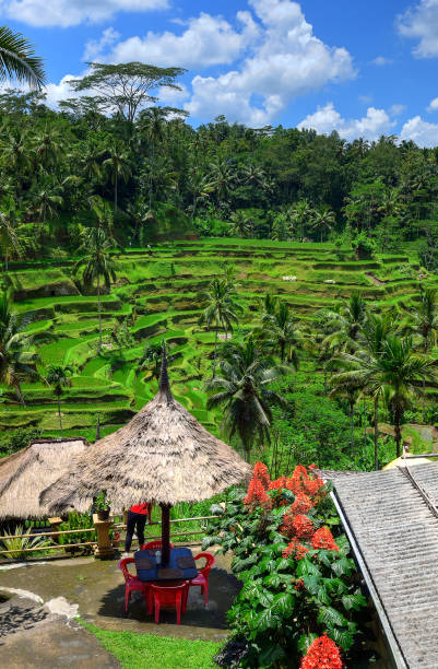 istock Ubud palace, Bali, Indonesia 839806410