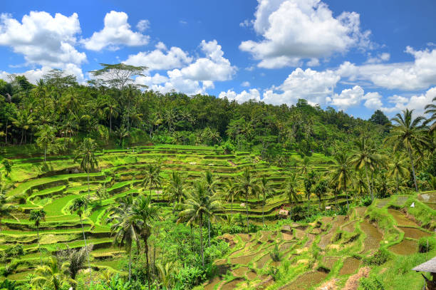 istock Ubud palace, Bali, Indonesia 839806452