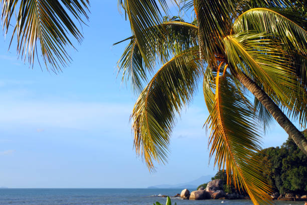 Sandy beach in Batu Ferringhi, Penang Island, Malaysia