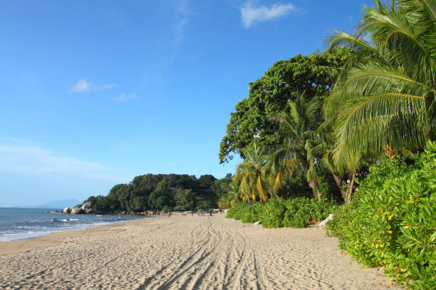 istock Sandy beach in Batu Ferringhi, Penang Island, Malaysia 839806936