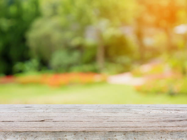 istock empty wood table with blurred garden park natural background 839819012