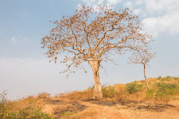 This photo was taken in Rajasthan. India