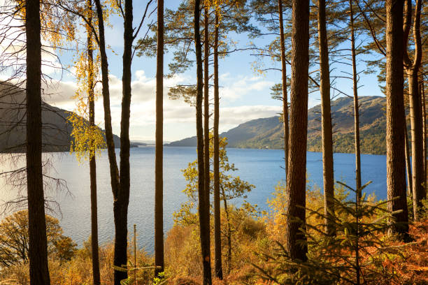 autunno a loch lomond - loch foto e immagini stock