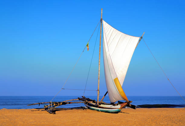 istock sailboat on the sea coast, Sri Lanka 839825830