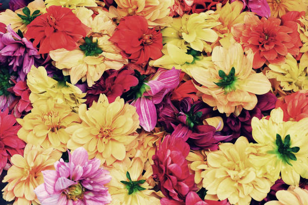 istock Flower background - vintage effect style pictures 839830490
